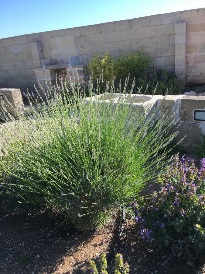 Masseria Asteri B&B Cannole Eksteriør billede